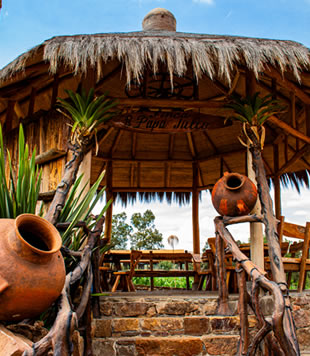 Molino Del Búho